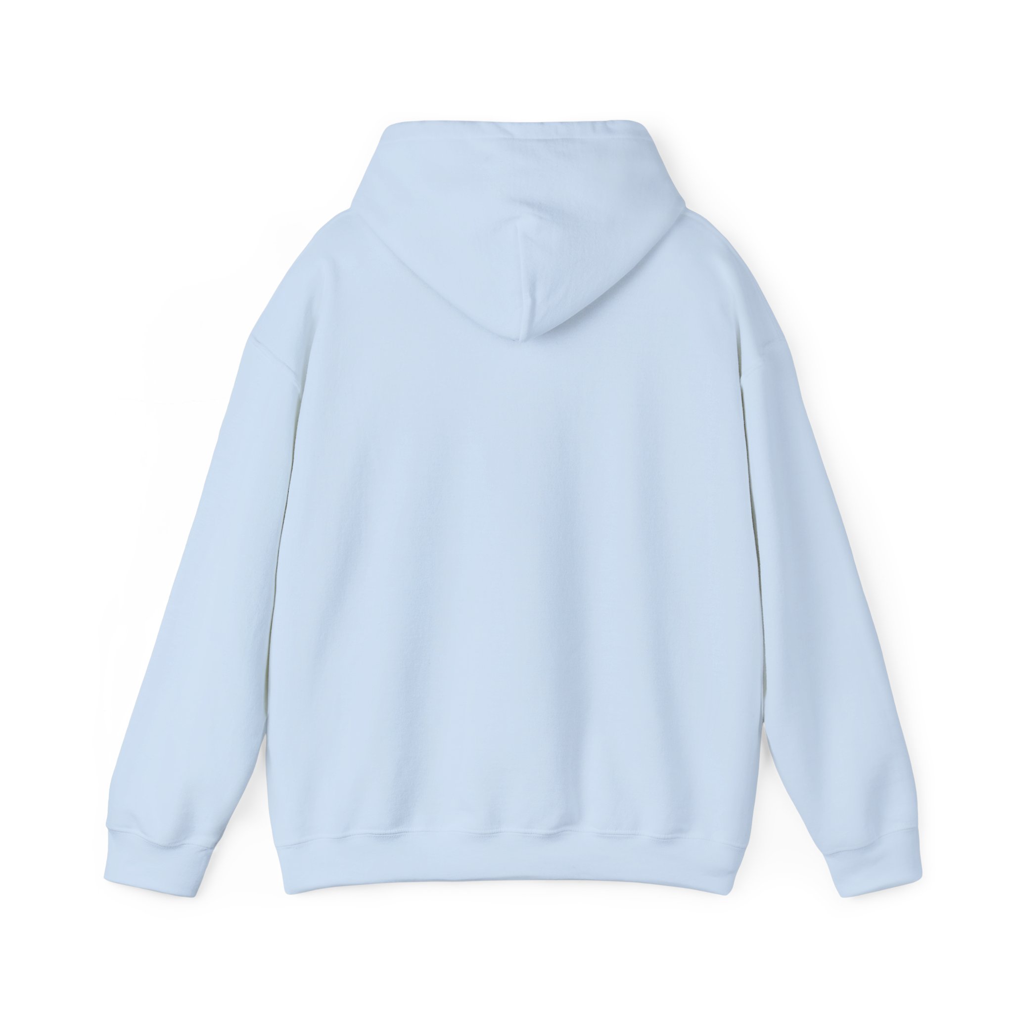 Taíno Pelican Hoodie — Spanish Puerto Rican Heritage Design - Image 26