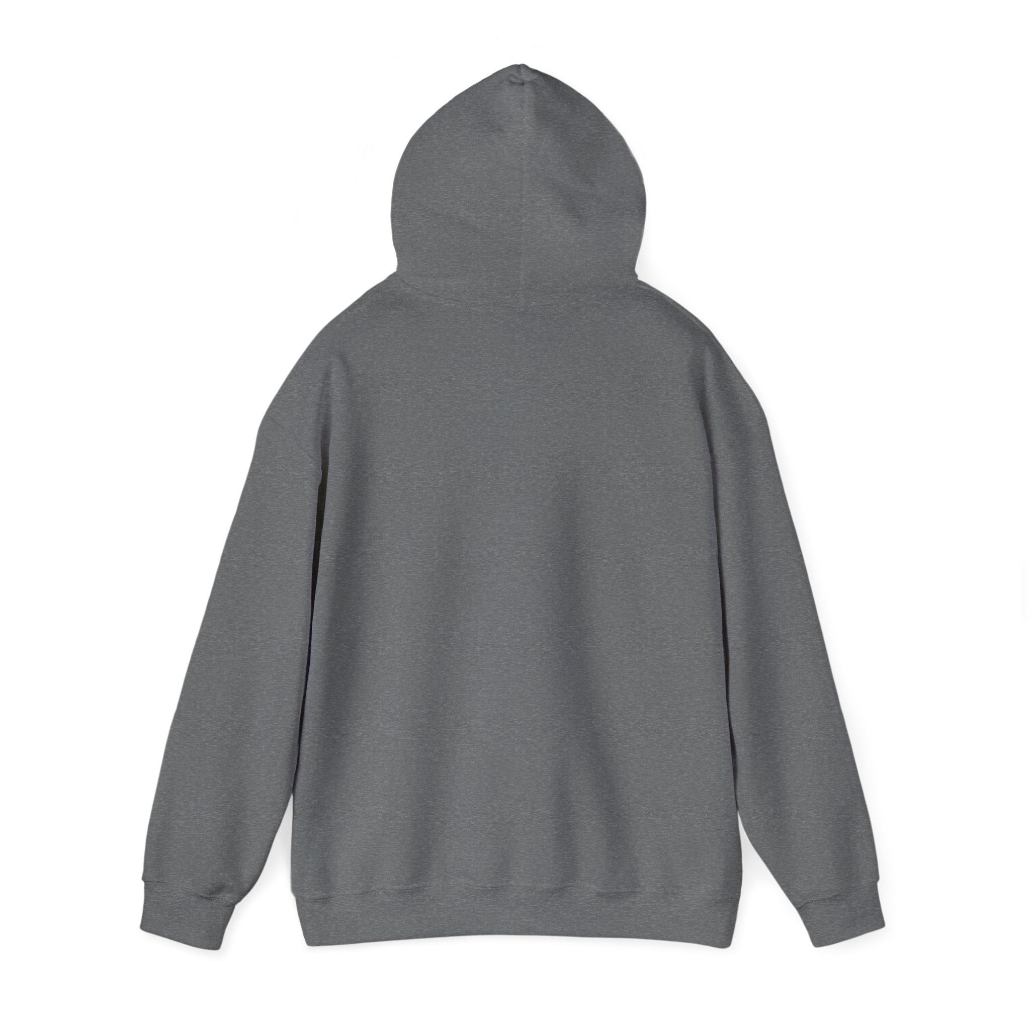 Boricua Taíno Hoodie – Colorful Puerto Rican Heritage Design - Image 27