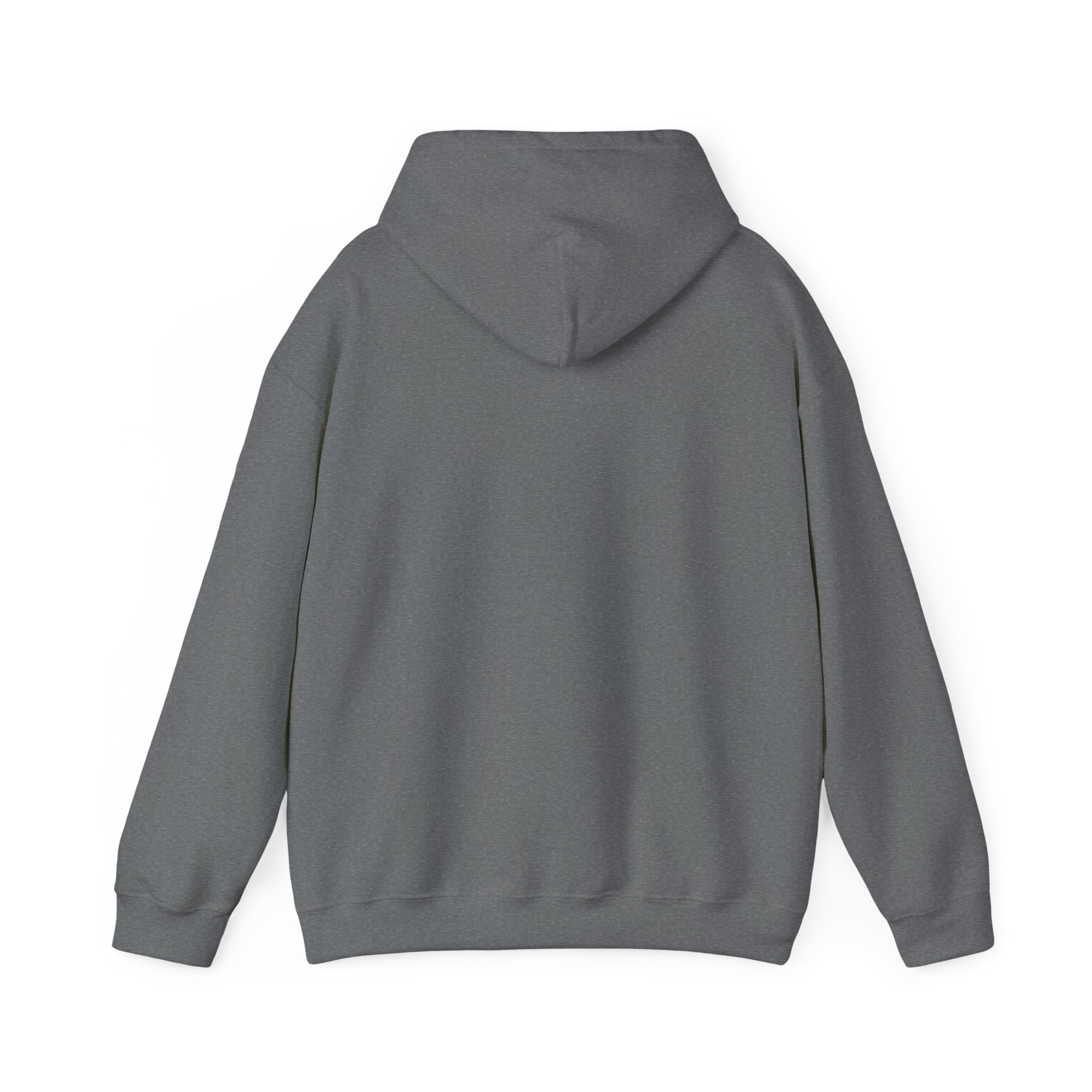 Guaraguao Taíno Hoodie – Puerto Rican Heritage Hawk Sweatshirt - Image 26